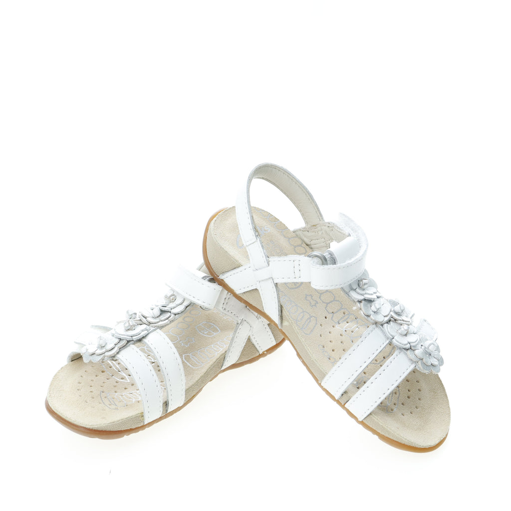 Πέδιλα Clarks